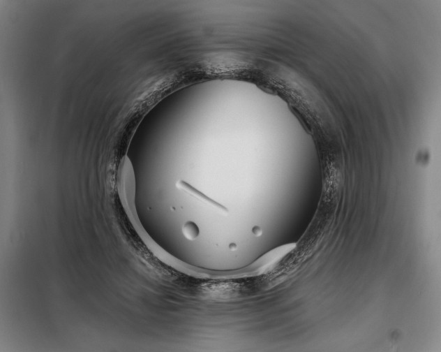 X0000098210452200805011214