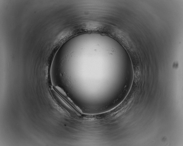 X0000098210454200805011214