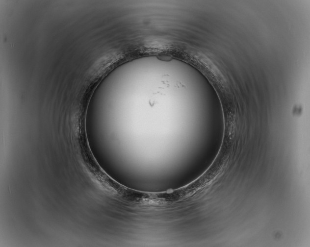 X0000098210455200805011214