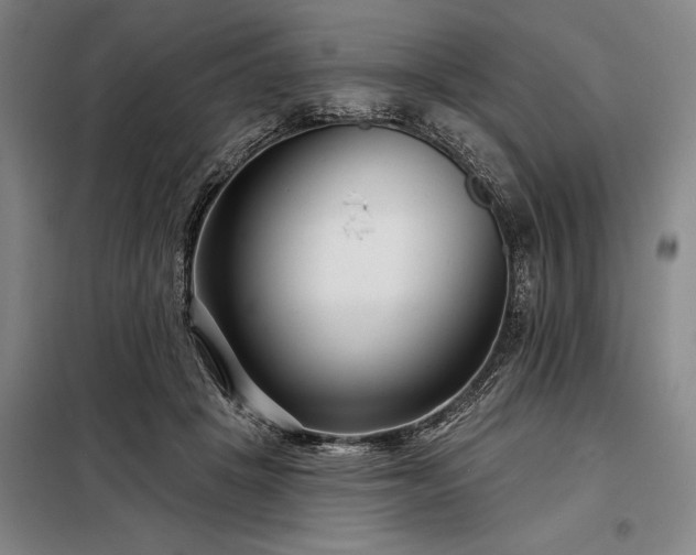 X0000098210457200805011214