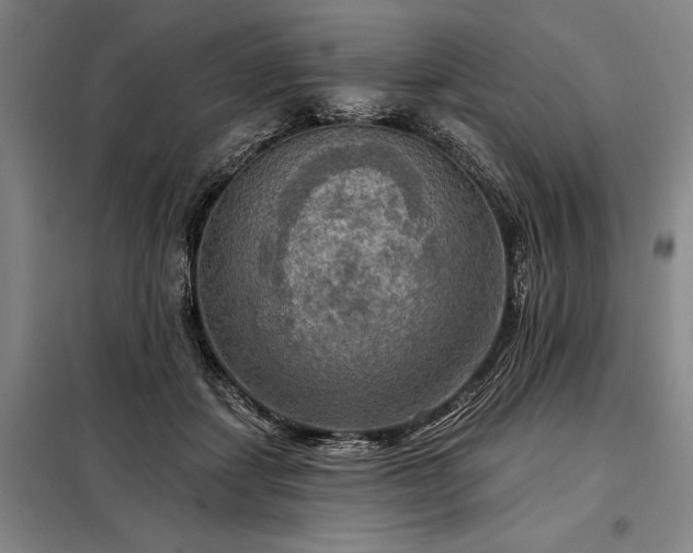 X0000098210459200805011214