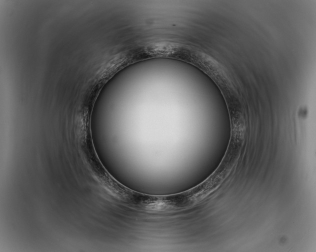 X0000098210460200805011215