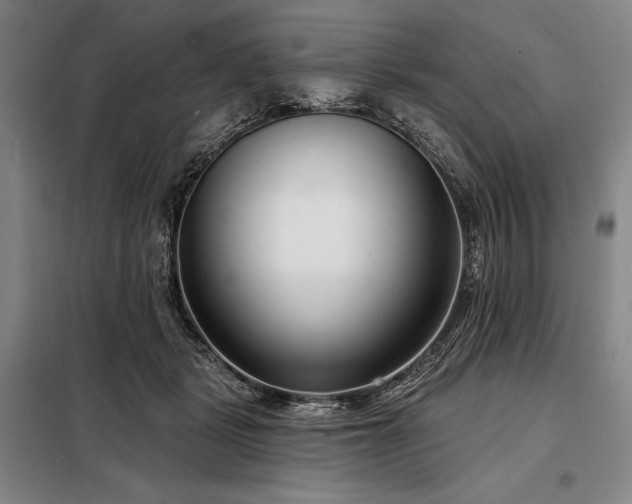 X0000098210461200805011215
