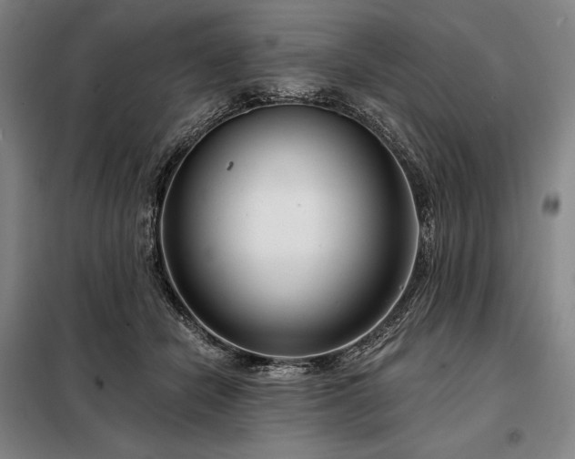 X0000098210462200805011215