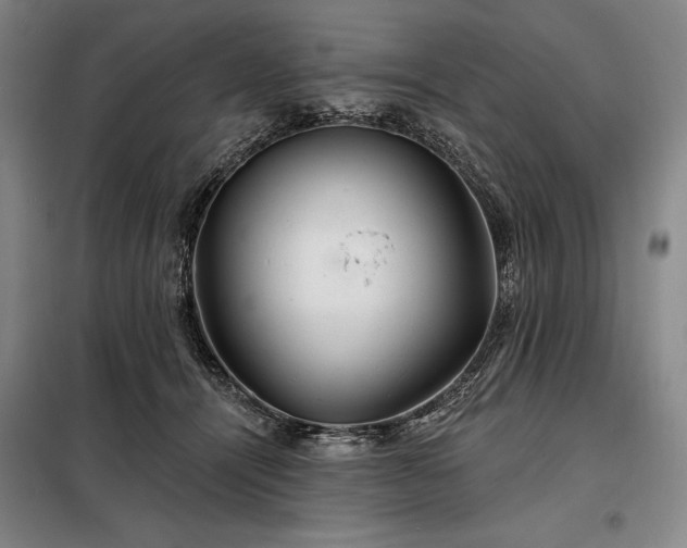 X0000098210464200805011215