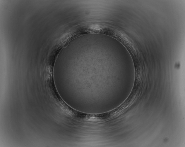 X0000098210467200805011215