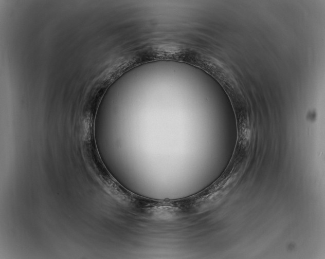X0000098210468200805011215