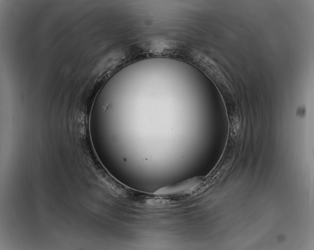 X0000098210470200805011215