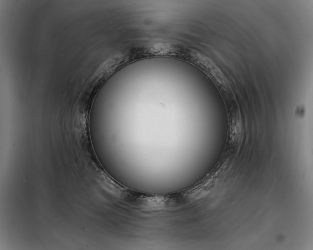 X0000098210473200805011215