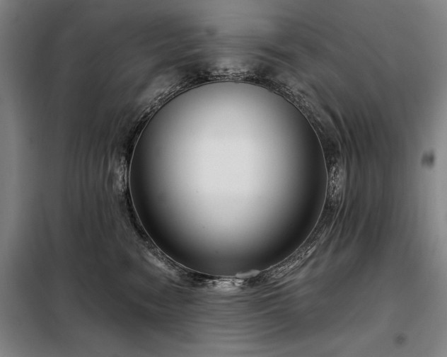 X0000098210474200805011215