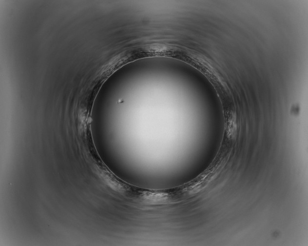 X0000098210476200805011215