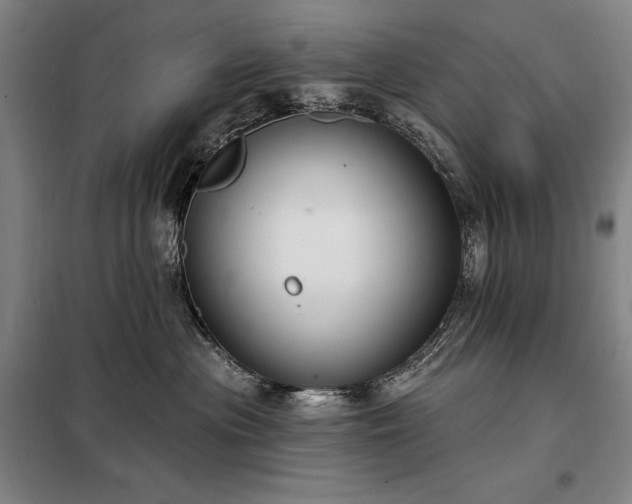 X0000098210477200805011215