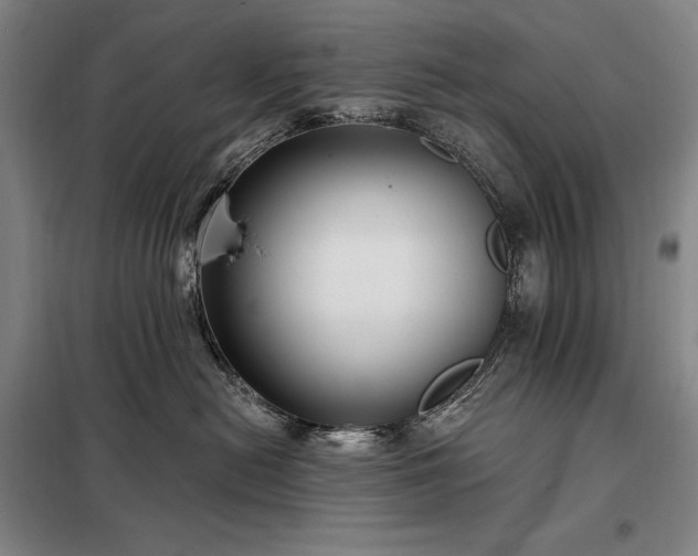 X0000098210478200805011215