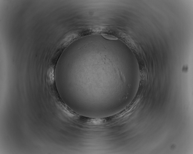 X0000098210479200805011215