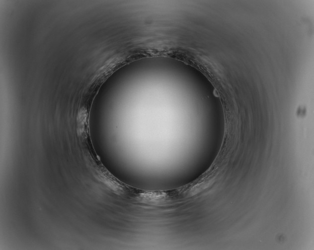 X0000098210480200805011215