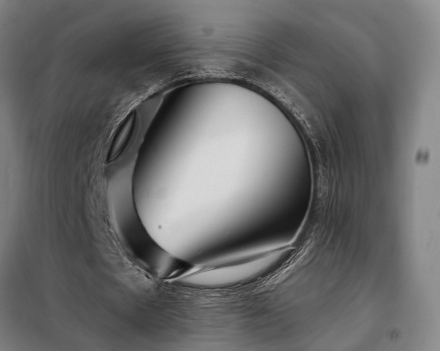 X0000098210481200805011214