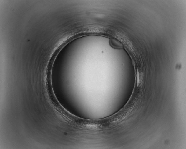 X0000098210483200805011214