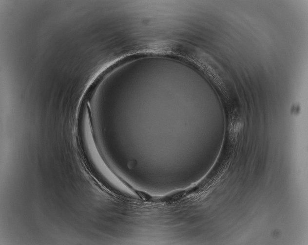 X0000098210484200805011214