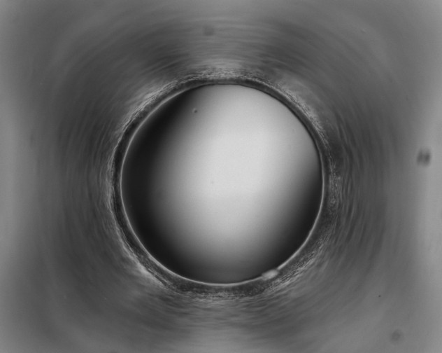 X0000098210485200805011214