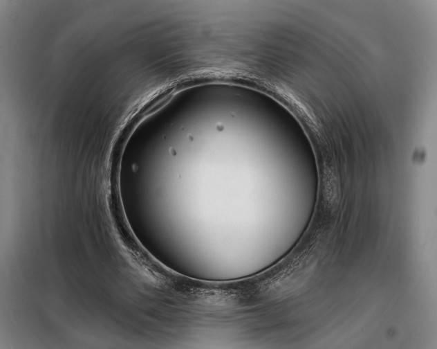 X0000098210486200805011214