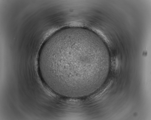 X0000098210487200805011214