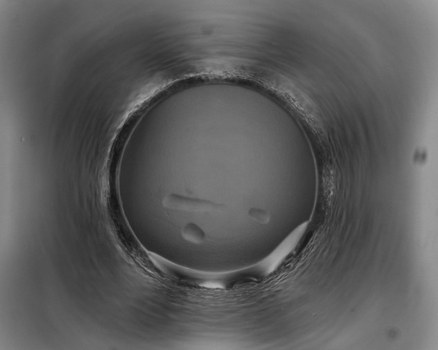 X0000098210488200805011214