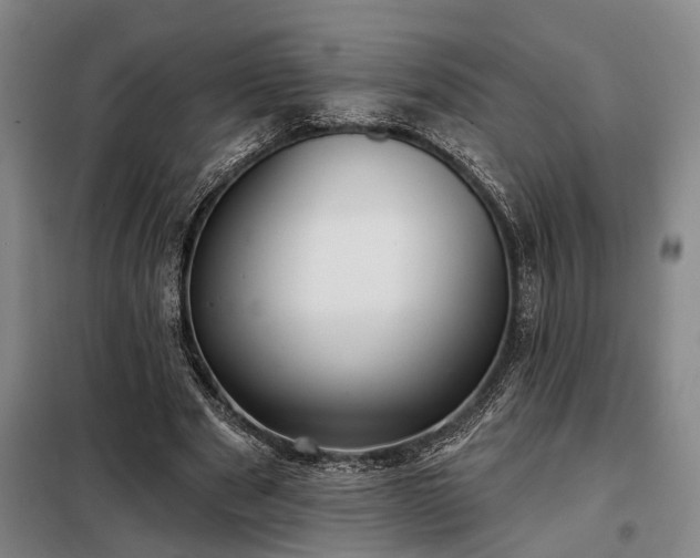 X0000098210489200805011214
