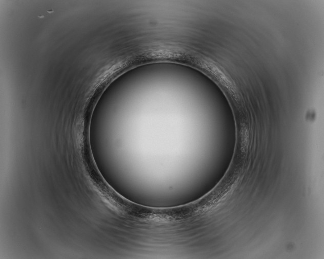 X0000098210490200805011214