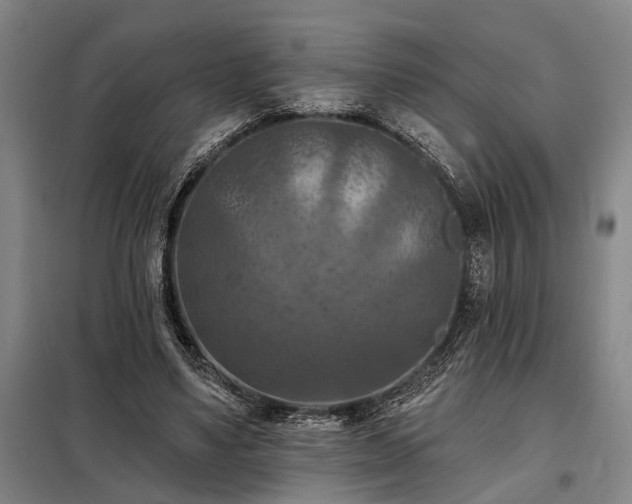 X0000098210491200805011214