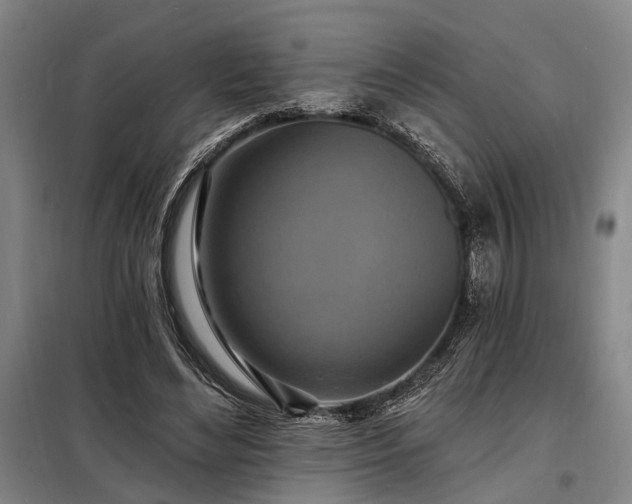 X0000098210492200805011214