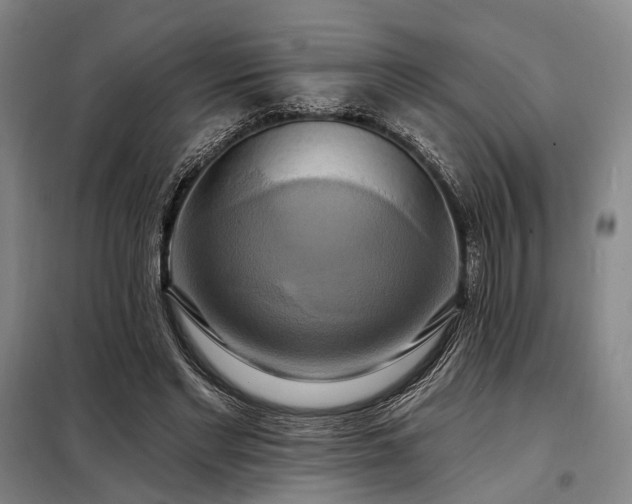 X0000098210493200805011214