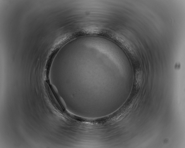 X0000098210494200805011214