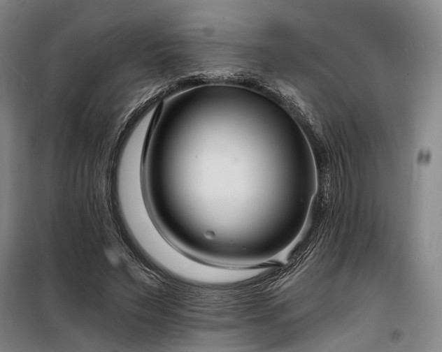 X0000098210495200805011214