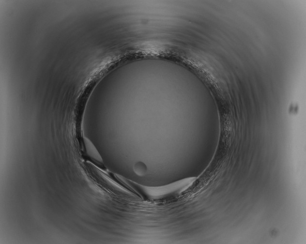 X0000098210496200805011214