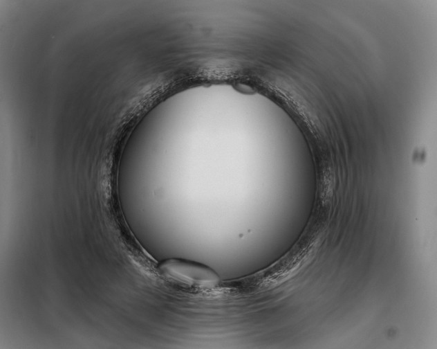 X0000098210497200805011214