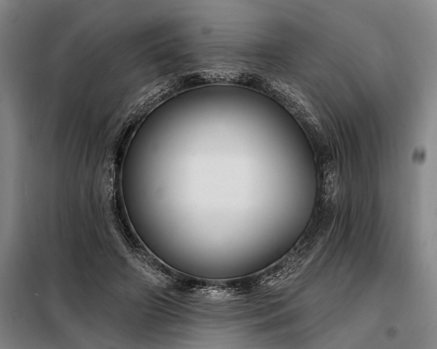 X0000098210498200805011214
