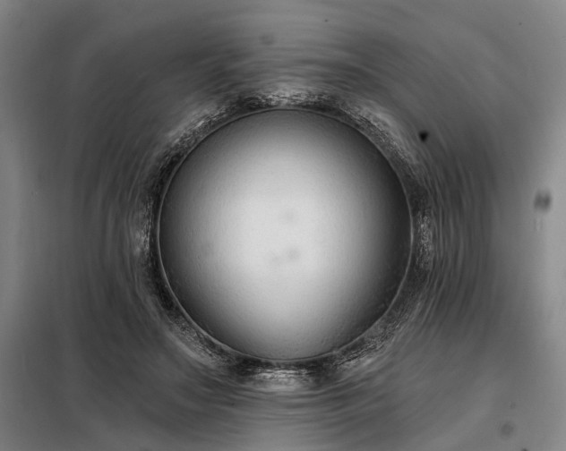 X0000098210499200805011214