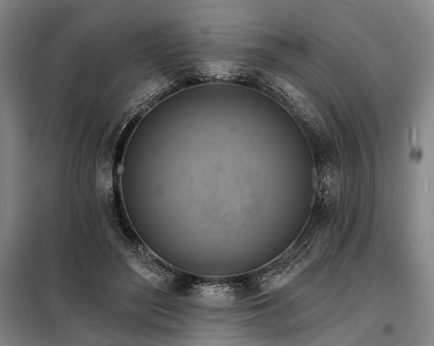 X0000098210500200805011214