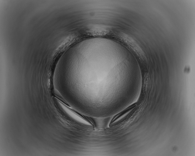 X0000098210501200805011214