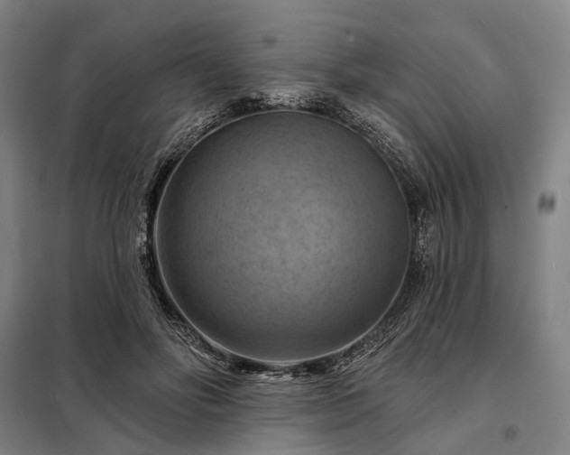 X0000098210502200805011214