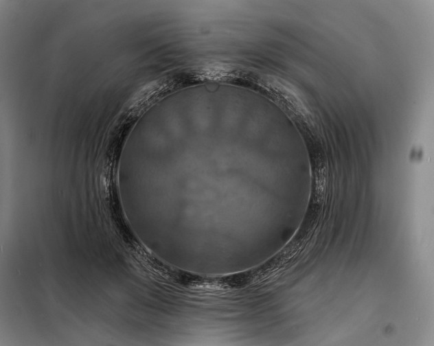 X0000098210503200805011214