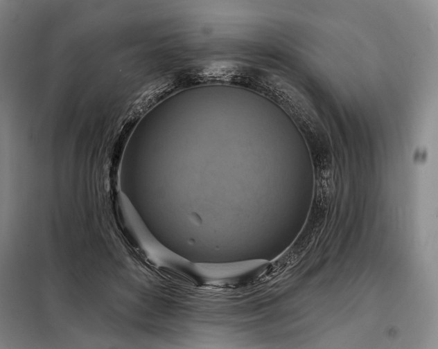 X0000098210504200805011214