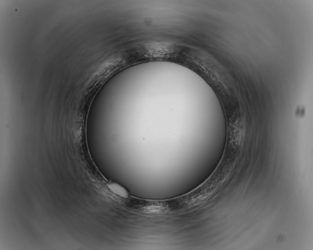 X0000098210505200805011214