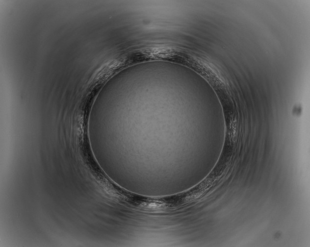 X0000098210506200805011214