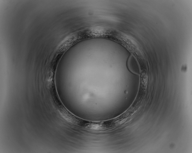 X0000098210507200805011214
