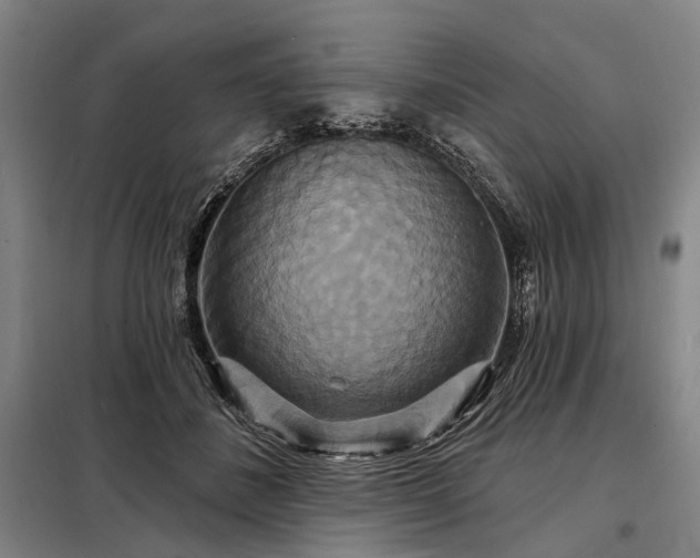 X0000098210508200805011214