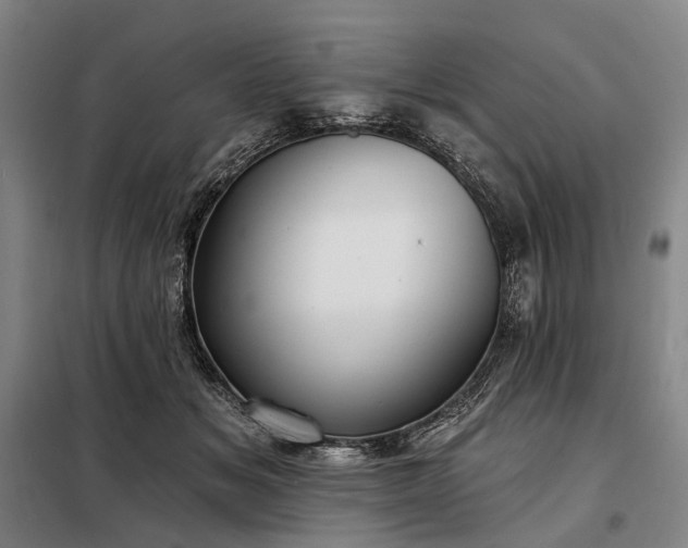 X0000098210509200805011214