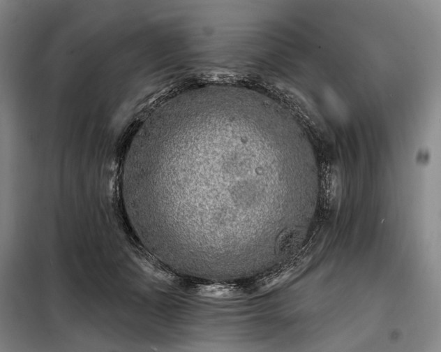 X0000098210511200805011214