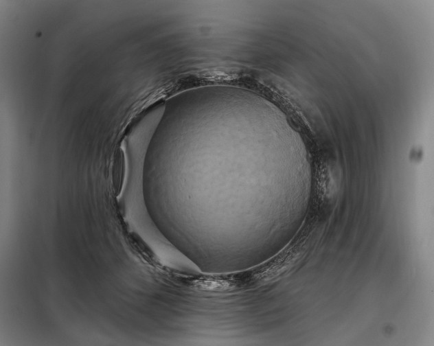X0000098210512200805011214