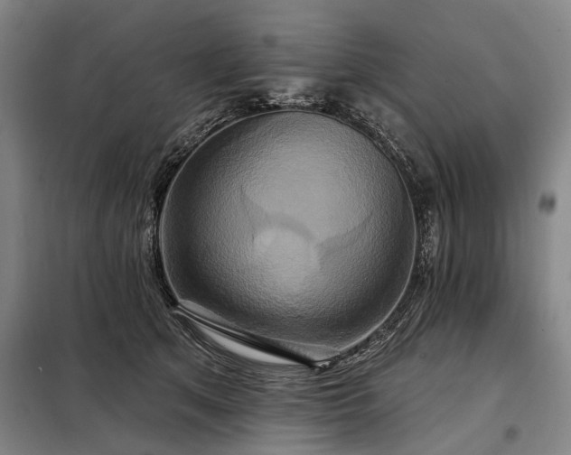 X0000098210513200805011214